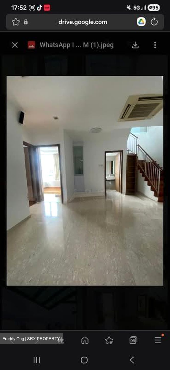Palm Oasis (D15), Apartment #541668201